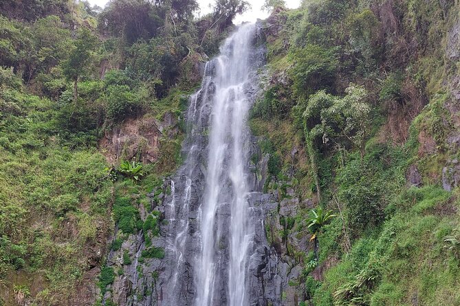 Materuni Waterfalls and Coffee Tour in Moshi - What the $70 price really covers