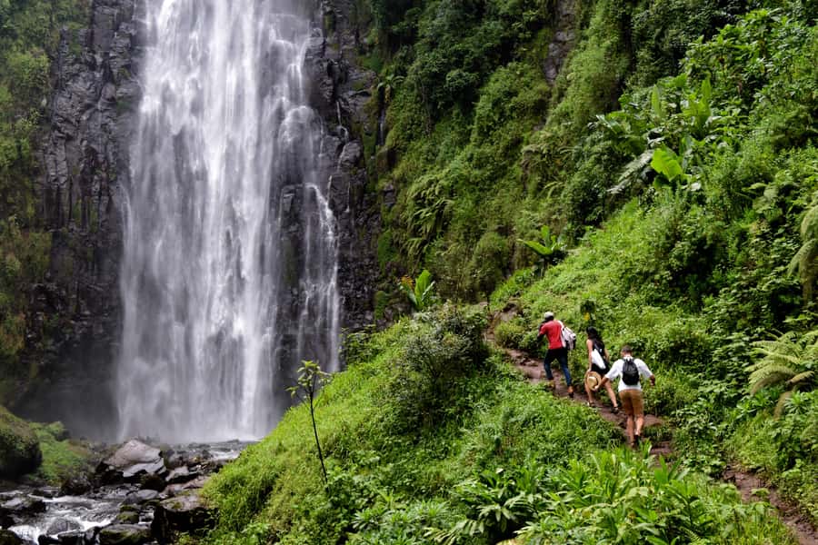 Materuni Waterfalls, Chemka Hot Springs, &/Or Coffee Tour - Key points to know before you book