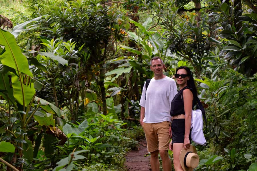 Materuni Waterfalls, Chemka Hot Springs, &/Or Coffee Tour - Why this Kilimanjaro day trip works so well
