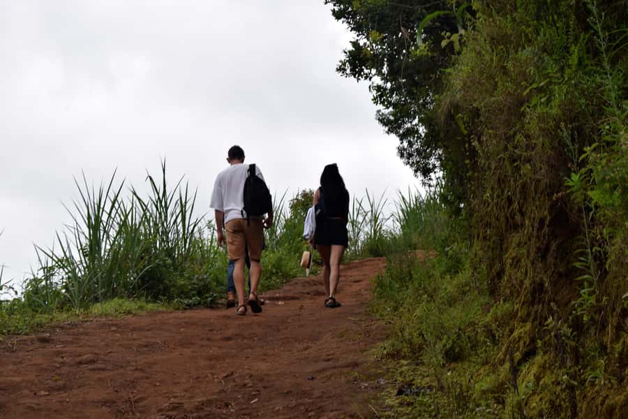 Materuni Waterfalls, Chemka Hot Springs, &/Or Coffee Tour - Walking through Materuni Village to the falls