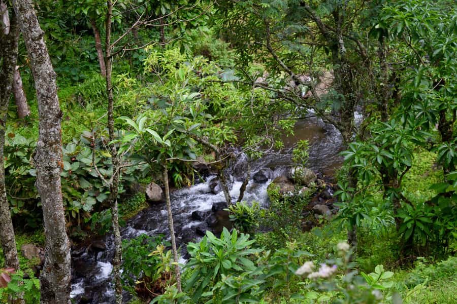Materuni Waterfalls, Chemka Hot Springs, &/Or Coffee Tour - Materuni Falls and the swimming stop