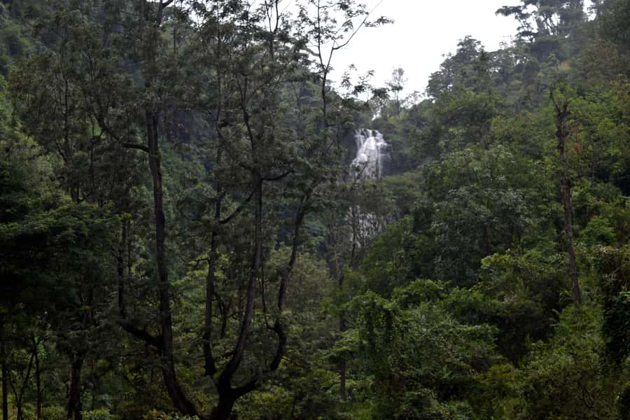 Materuni Waterfalls, Chemka Hot Springs, &/Or Coffee Tour - Making coffee the traditional way