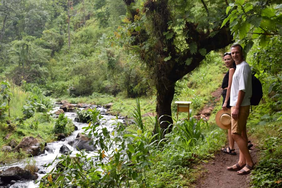 Materuni Waterfalls, Chemka Hot Springs, &/Or Coffee Tour - Chemka Hot Springs and the rope swing