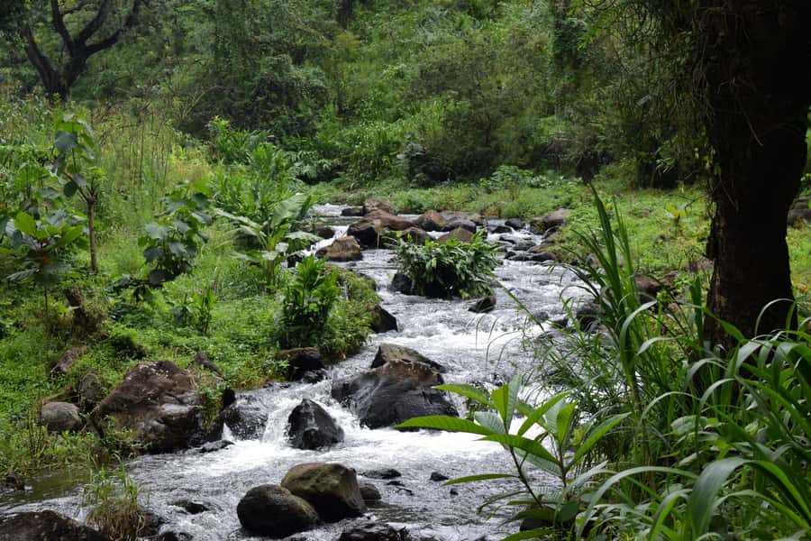 Materuni Waterfalls, Chemka Hot Springs, &/Or Coffee Tour - Guides, meals, and the human side of the day