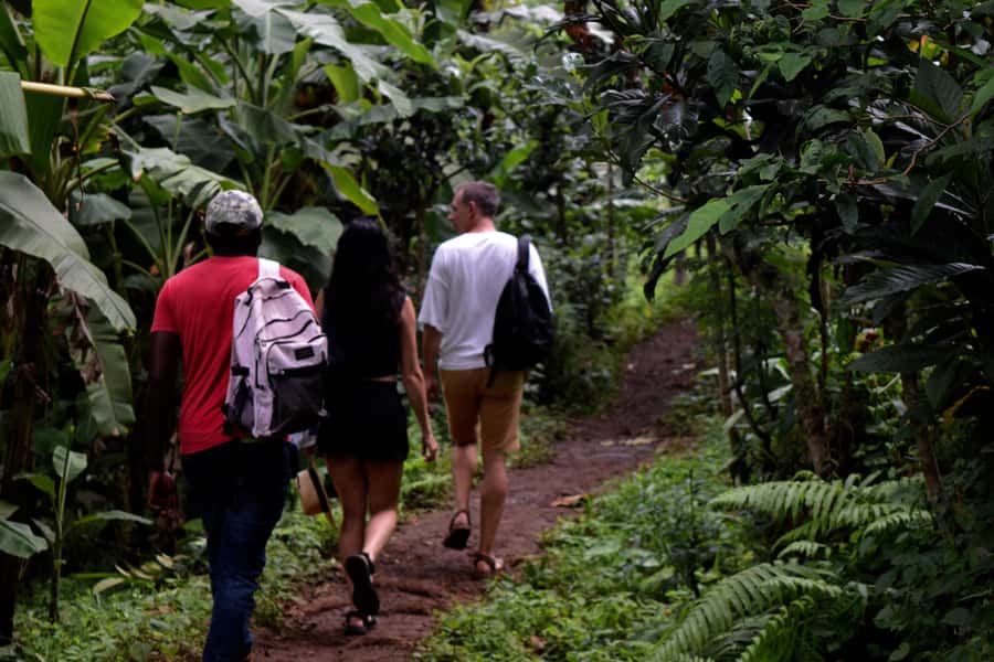 Materuni Waterfalls, Chemka Hot Springs, &/Or Coffee Tour - Setting out from Moshi or Arusha