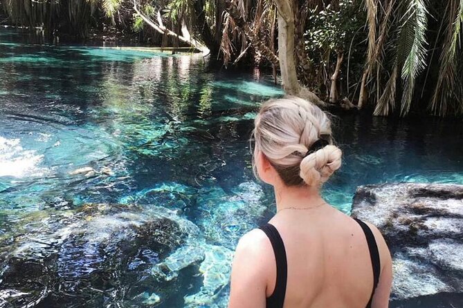 Materuni Waterfalls & Chemka Hotsprings Day Trip - Why this makes a strong Arusha day trip