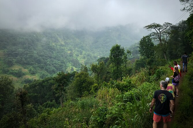 MATERUNI waterfalls, coffe tour & kikuletwa hotsprings - Is $150 per person good value?