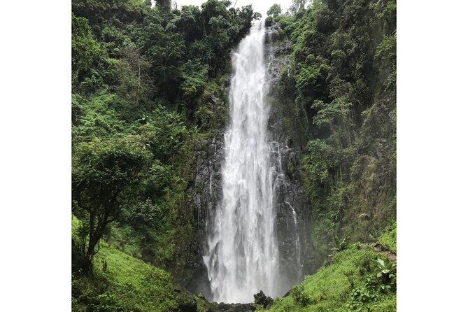 MATERUNI waterfalls, coffe tour & kikuletwa hotsprings - Who should book this experience?