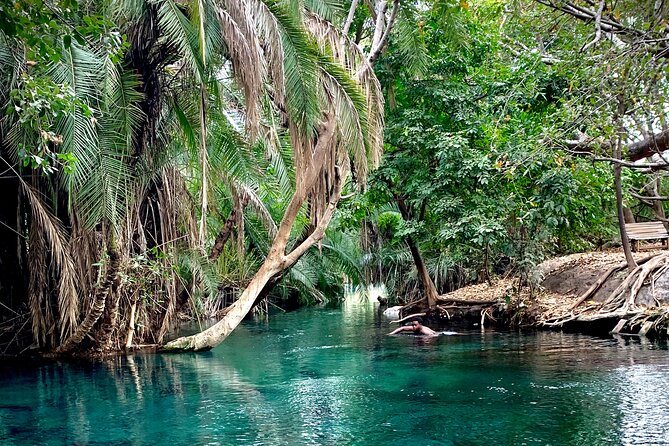 MATERUNI waterfalls, coffe tour & kikuletwa hotsprings - Materuni coffee, made the local way
