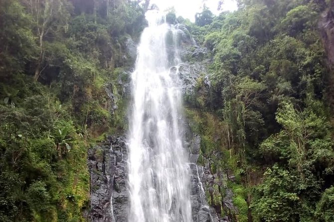 Materuni Waterfalls & Coffee making Cultural Tour | BURIGI CHATO SAFARIS LTD - The coffee lesson begins with local work