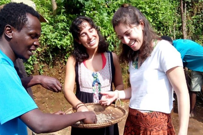 Materuni Waterfalls & Coffee making Cultural Tour | BURIGI CHATO SAFARIS LTD - Is $166.67 good value?