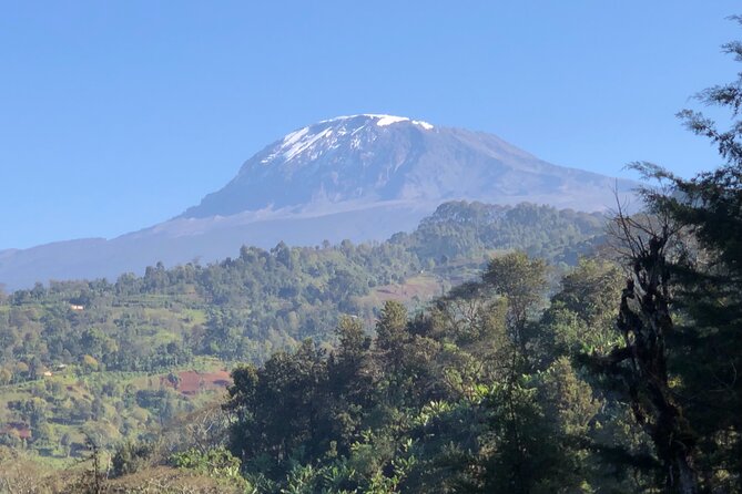 Materuni Waterfalls & Coffee Tour - Who should book this experience?