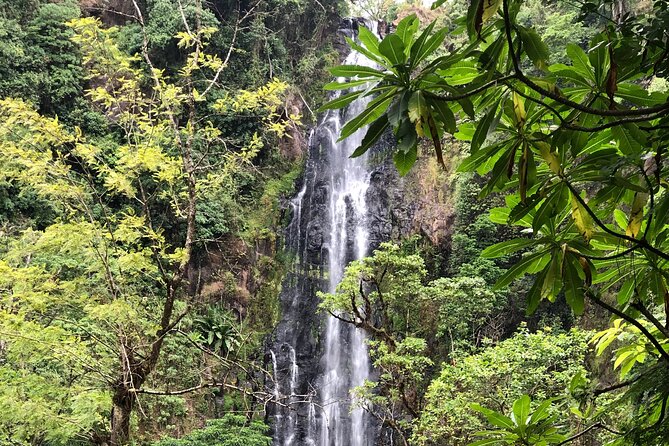 Materuni waterfalls coffee tour & Chemka hot springs Day trip - The drive to Chemka can shape your opinion of the day