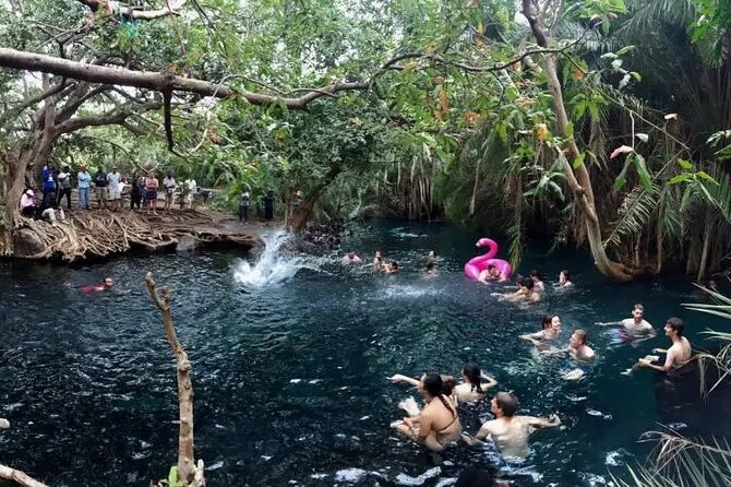Materuni waterfalls coffee tour & Chemka hot springs Day trip - Swimming at Chemka Hot Springs