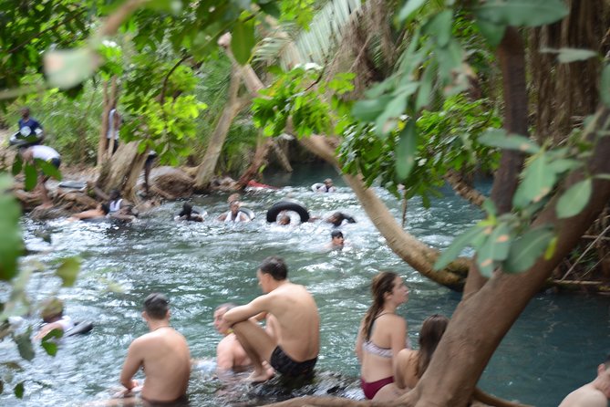 Materuni waterfalls coffee tour & Chemka hot springs Day trip - What $95 per person gets you