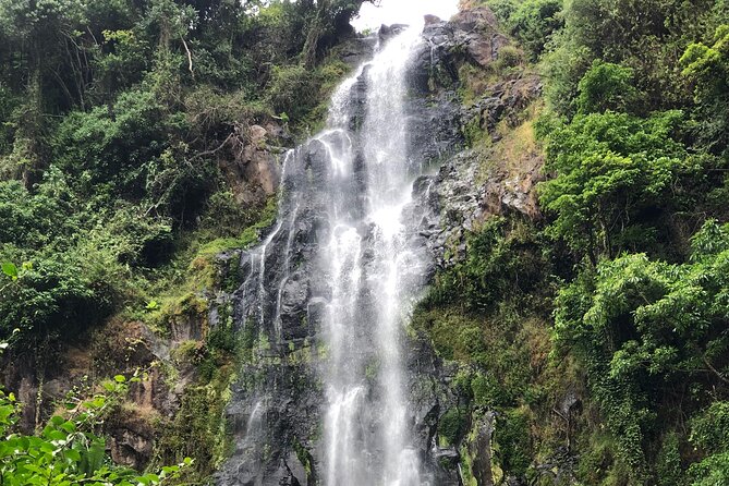 Materuni waterfalls coffee tour & Chemka hot springs Day trip - Timing, transport, and the private format