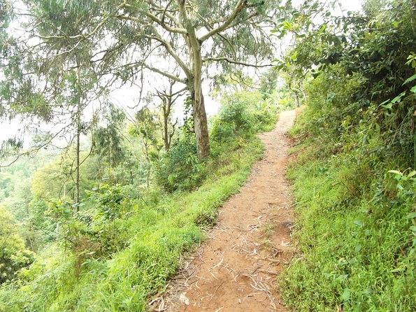 Materuni Waterfalls & Coffee Tour from Moshi - Arriving at 90-meter Materuni Waterfall