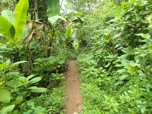 Materuni Waterfalls & Coffee Tour from Moshi - Chagga culture gives the tour more meaning