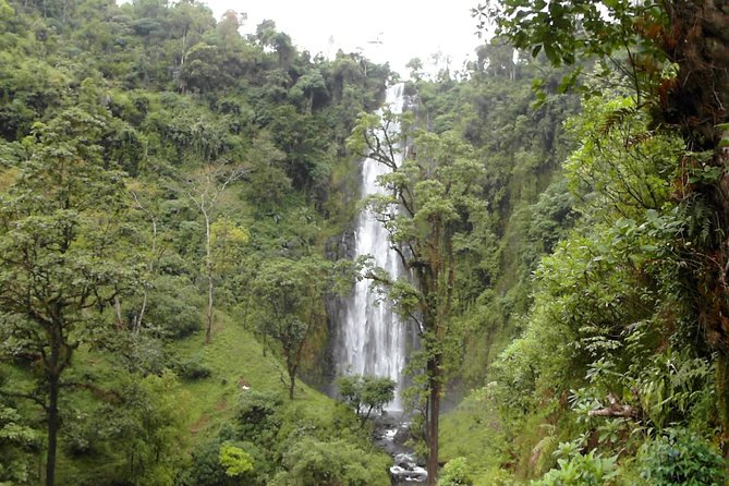 Materuni Waterfalls & Coffee Tour from Moshi - Lunch keeps the seven-hour day comfortable