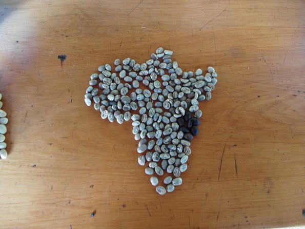 Materuni Waterfalls & Coffee Tour from Moshi - What the guide can add to the day