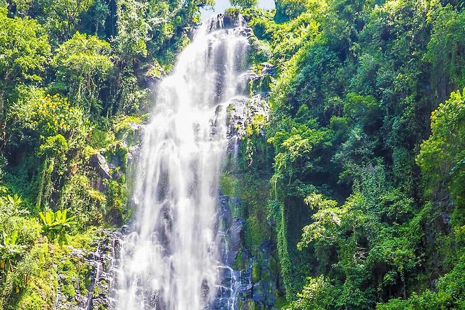 Materuni Waterfalls & Coffee Tour from Moshi - Learning coffee from plant to cup