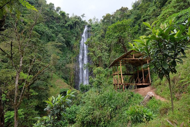 Materuni waterfalls,coffee tour & Kikuletwa(Chemka)Hot Springs - Three Northern Tanzania Experiences in One Long Day