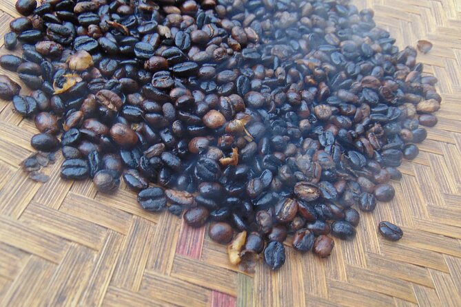 Materuni waterfalls,coffee tour & Kikuletwa(Chemka)Hot Springs - The Guide Can Shape the Whole Day