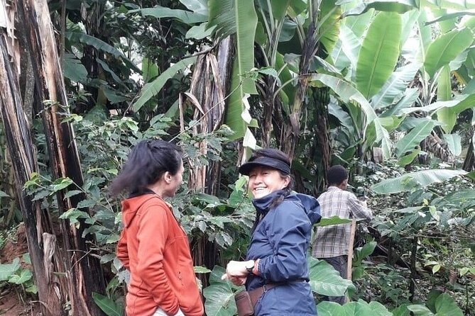 Materuni waterfalls,coffee tour & Kikuletwa(Chemka)Hot Springs - Timing, Clothing, and Comfort Tips