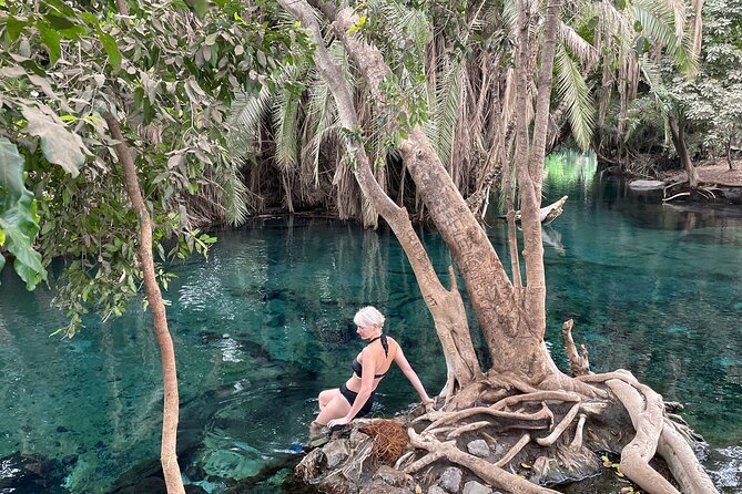 Materuni waterfalls,coffee tour & Kikuletwa(Chemka)Hot Springs - Should You Book Materuni, Coffee, and Chemka?