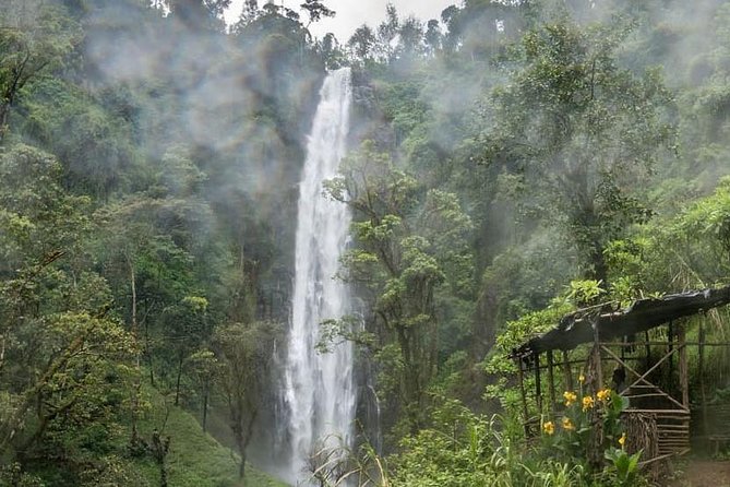 Materuni Waterfalls, coffee tour & Kikuletwa Hot Springs - Guides can make or break the day