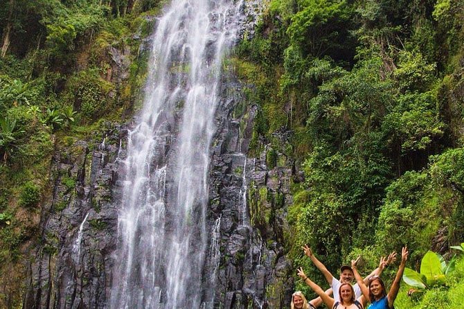 Materuni Waterfalls, coffee tour & Kikuletwa Hot Springs - Is the $100 price good value?