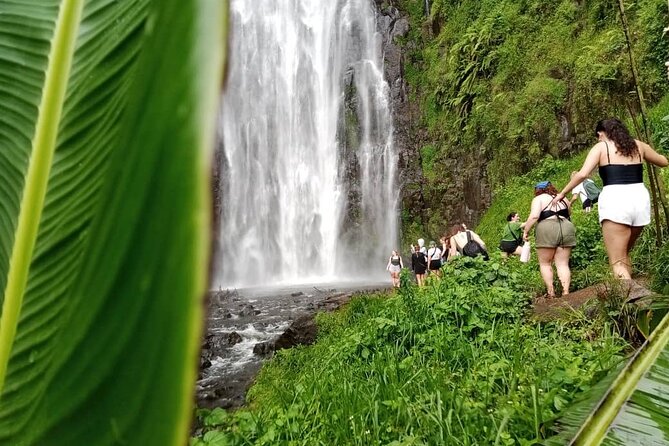 Materuni Waterfalls Hiking Tour with Coffee and Traditional Meal - Key points to know before booking