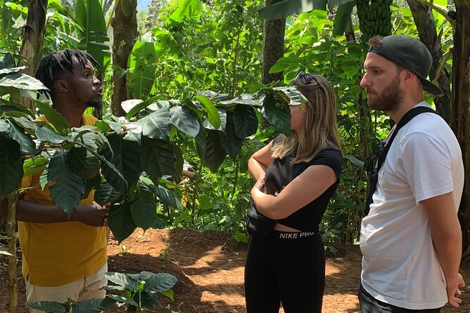 Materuni Waterfalls Hiking Tour with Coffee and Traditional Meal - Practical advice for a smoother day