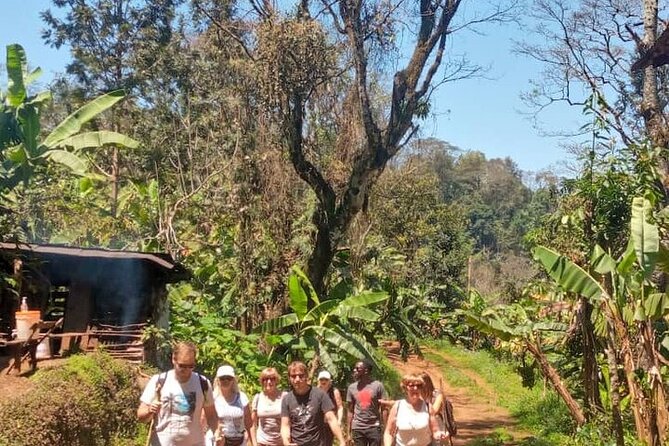 Materuni Waterfalls, Kikuletwa Chemka Hot springs, Coffee tour - Walking into Materuni Waterfalls