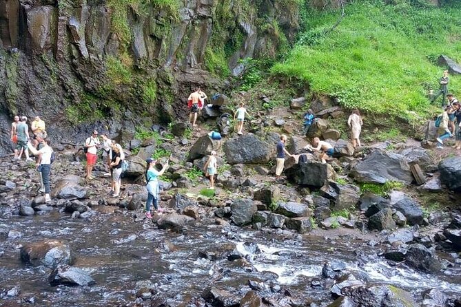 Materuni Waterfalls, Kikuletwa Chemka Hot springs, Coffee tour - Who should book this experience