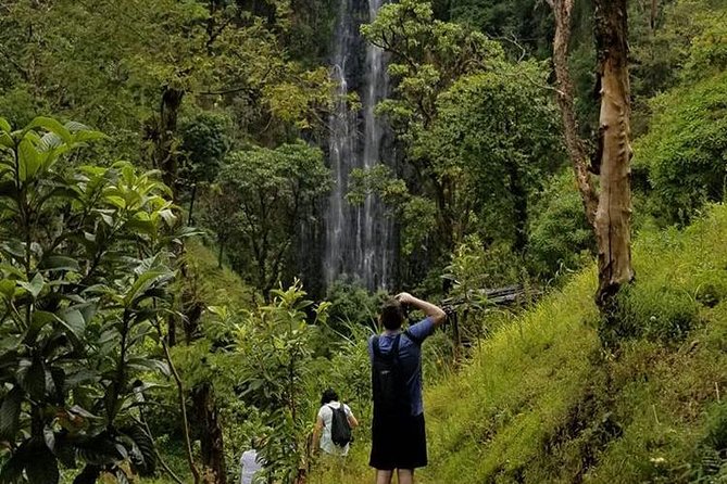 Materuni Waterfalls, Visiting Chagga Village, CoffeeTour Kikuletwa Hotsprings - Coffee The Chagga Way