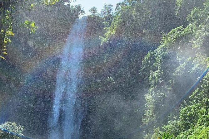 Materuni Waterfalls, Visiting Chagga Village, CoffeeTour Kikuletwa Hotsprings - What The $100 Price Includes