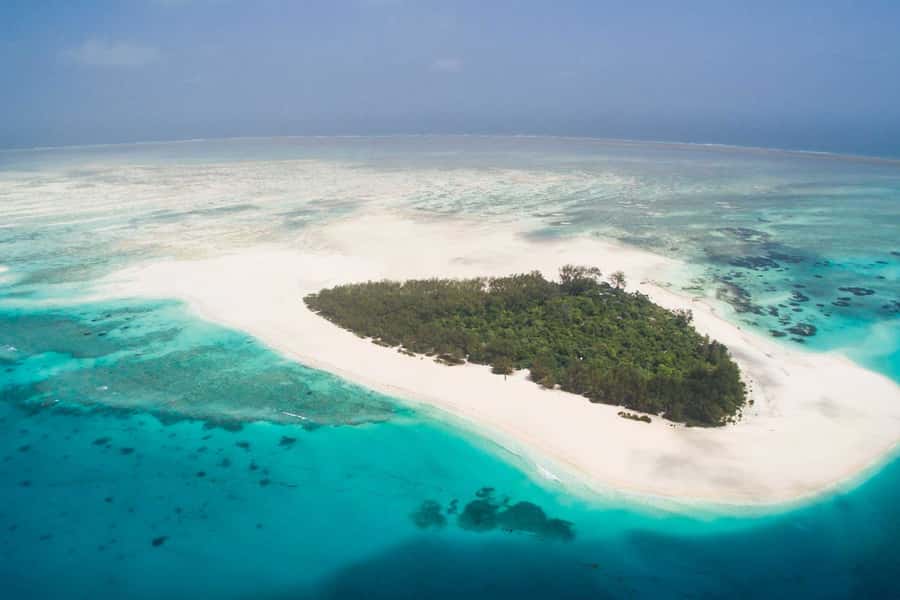 Mbudya island from Dar es salaam safari. - Why Mbudya Island makes a good day away