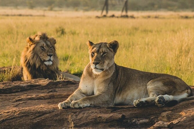 Mikumi National Park 2 Days/ 1 Night - Is $640 good value?