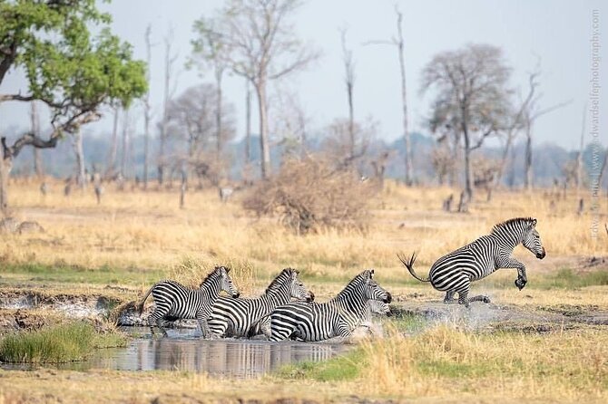 Mikumi National Park 3 Day Tour - Snake Park or Maasai Village on Day Three