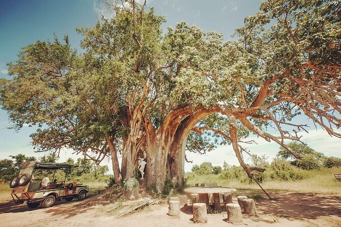 Mikumi National Park 3 Day Tour - The Eight-Hour Game Drive in Mikumi
