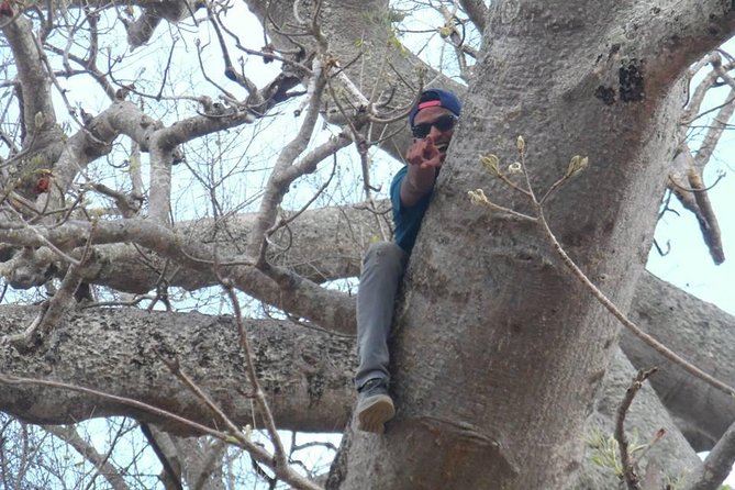 MIKUMI NATIONAL PARK - 3 Days - Who will enjoy this three-day safari