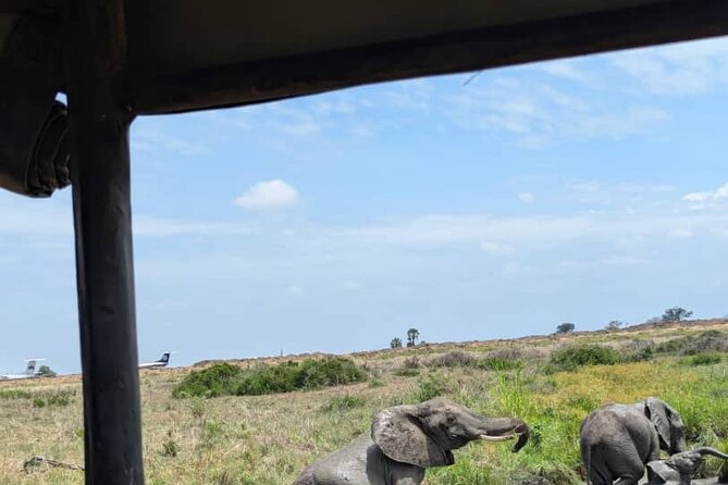 Mikumi National Park Day Trip by Train From Dar Es Salaam - Savannah, palms, and the Malundwe Mountain views