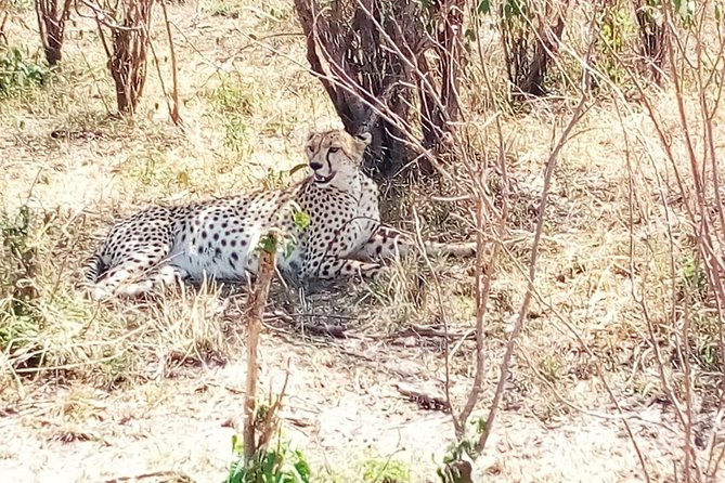 Mikumi national park full day tour from Dar es sallam - The 5:00 am pickup and road to Mikumi