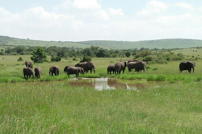Mikumi national park full day tour from Dar es sallam - Returning to Dar es Salaam