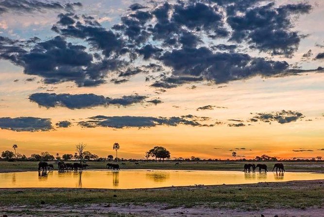 Mikumi National Park in a Day - A Day Tour from Morogoro - Adding a Maasai Village Visit