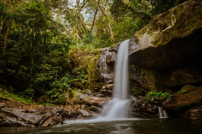 Mikumi National Park & Udzungwa Water Falls 3 Days Group Tour - Why this three-day route works
