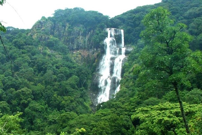 Mikumi National Park & Udzungwa Water Falls 3 Days Group Tour - What you may see in Mikumi