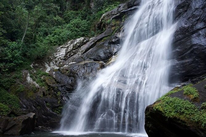 Mikumi National Park & Udzungwa Water Falls 3 Days Group Tour - Day three: your choice of Maasai culture or snakes