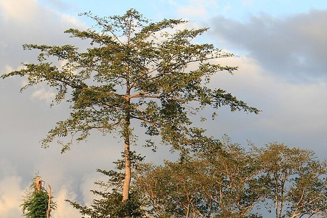 Mikumi National Park & Udzungwa Water Falls 3 Days Group Tour - What the $770 price really covers